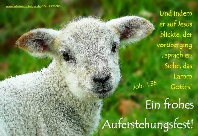 Johannes 1,36 - Und indem er auf Jesus blickte, der vorüberging, sprach er: Siehe, das Lamm Gottes![