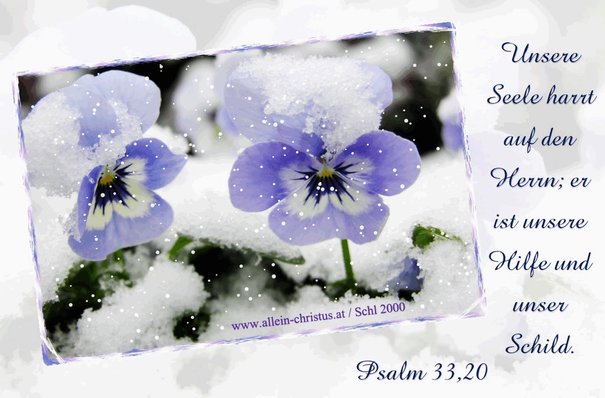 Psalm 33,20 - Unsere Seele harrt auf den Herrn; er ist unsere Hilfe und unser Schild.