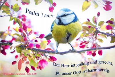 Psalm 116,5 - Der Herr ist gnädig und gerecht, ja unser Gott ist barmherzig
