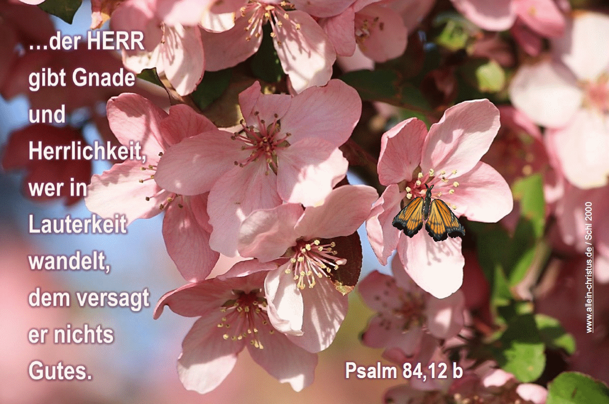 Psalm 84,12 b - Der Herr gibt Gnade und Herrlichkeit, wer in Lauterkeit wandelt, dem versagt er nichts Gutes