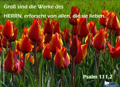 Psalm 111,2 - Groß sind die Werke des Herrn, erforscht von allen, die sie lieben