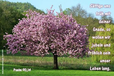 Psalm 90,14 - Sättige uns früh mit deiner Gnade, so wollen wir jubeln und fröhlich sein unser Leben lang