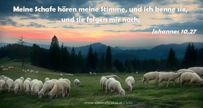 Johannes 10,27 - Meine Schafe hören meine Stimme, und ich kenne sie, und sie folgen mir nach.