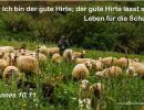 Johannes 10,11 - Ich bin der gute Hirte; der gute Hirte lässt sein Leben für die Schafe.