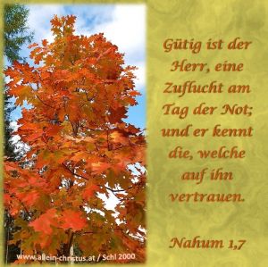 Nahum 1,7 - Gütig ist der Herr, eine Zuflucht am Tag der Not; und er kennt die, welche auf ihn vertrauen