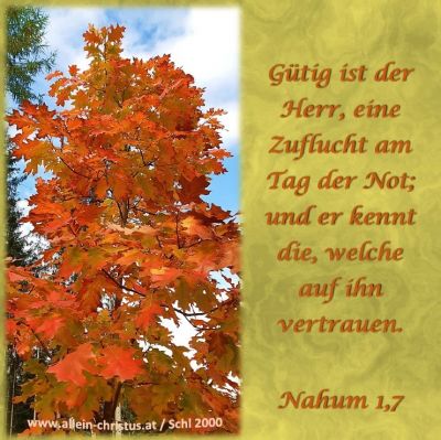 Nahum 1,7 - Gütig ist der Herr, eine Zuflucht am Tag der Not; und er kennt die, welche auf ihn vertrauen