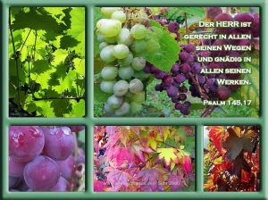Psalm 145,17 - Der Herr ist gerecht in allen seinen Wegen und gnädig in allen seinen Werken.