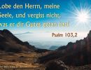 Psalm 103,2 - Lobe den Herrn, meine Seele, und vergiss nicht, was er dir Gutes getan hat