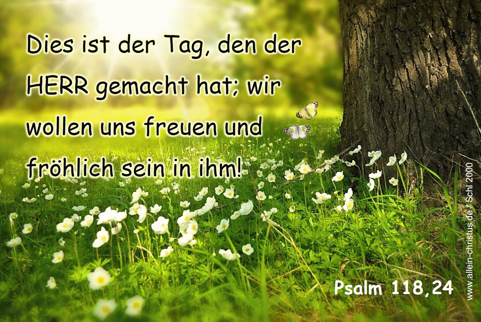 Psalm 118,24 - Dies ist der Tag, den der Herr gemacht hat, wir wollen uns freuen und fröhlich sein in ihm