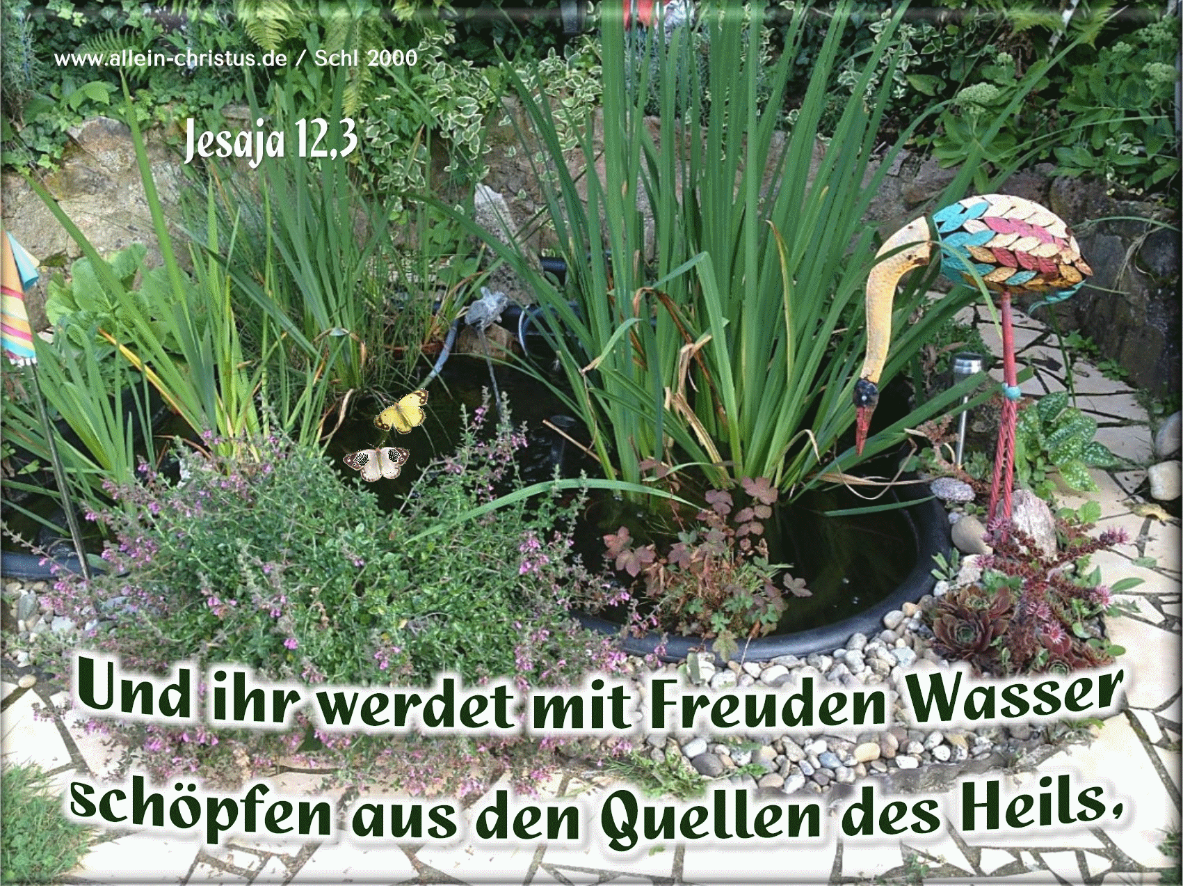 Jesaja 12,3 - Und ihr werdet mit Freuden Wasser schöpfen aus den Quellen des Heils
