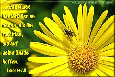 Psalm 147,11 - der Herr hat Gefallen an denen, die ihn fürchten, die auf seine Gnade hoffen