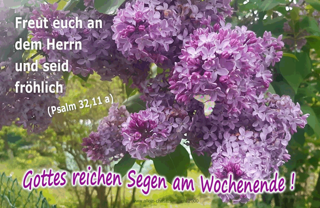 Psalm 32,11 a - Freut euch an dem Herrn und seid fröhlich