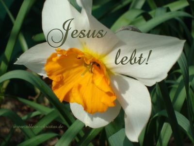 Jesus lebt!