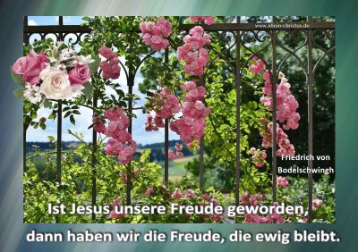 Friedrich von Bodelschwingh - Ist Jesus unsere Freude geworden
