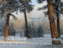 Psalm 104,31 - Die Herrlichkeit des Herrn wird ewig währen; der Herr wird sich an seinen Werken freuen!