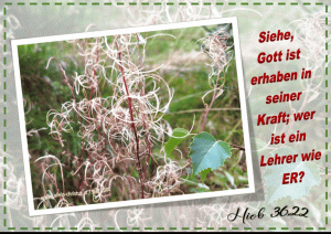 Hiob 36,22 - Siehe, Gott ist erhaben in seiner Kraft; wer ist ein Lehrer wie ER? Hiob 36,22 - Siehe, Gott ist erhaben in seiner Kraft; wer ist ein Lehrer wie ER?