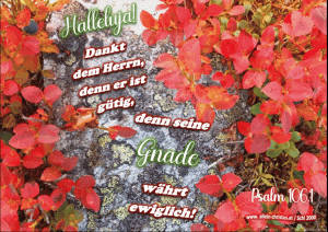 Psalm 119,129 - Wunderbar sind deine Zeugnisse; darum bewahrt sie meine Seele. Psalm 119,129 - Wunderbar sind deine Zeugnisse; darum bewahrt sie meine Seele.