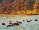 Psalm 23,1 b - Der Herr ist mein Hirte, mir wird nichts mangeln.