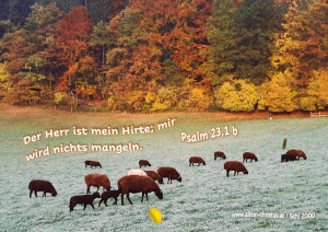 Psalm 23,1 b - Der Herr ist mein Hirte, mir wird nichts mangeln. Psalm 23,1 b - Der Herr ist mein Hirte, mir wird nichts mangeln.